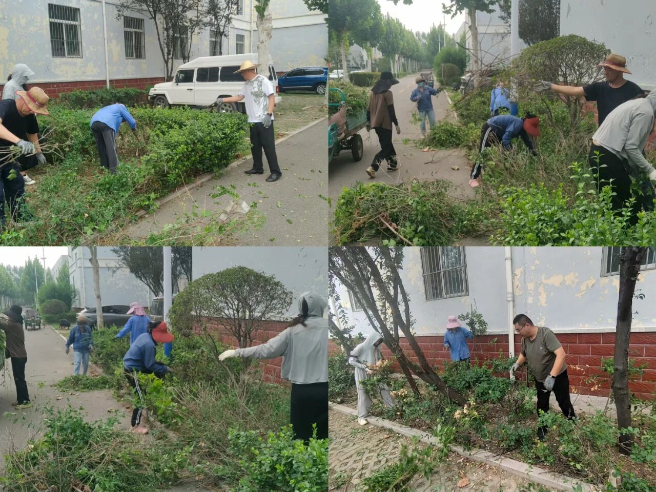 【魯南電商】共建美麗園區(qū)，我們?cè)谛袆?dòng)！