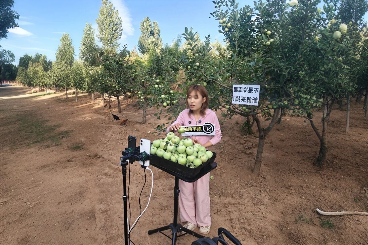 決戰(zhàn)四季度，圣家樂購雙十一全域發(fā)力促增長2